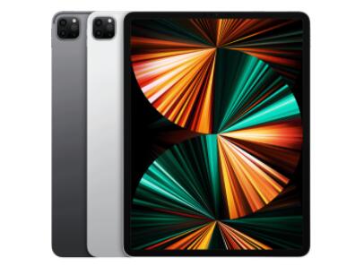 苹果  iPad Pro 五代 2021款 12.9寸回收价格